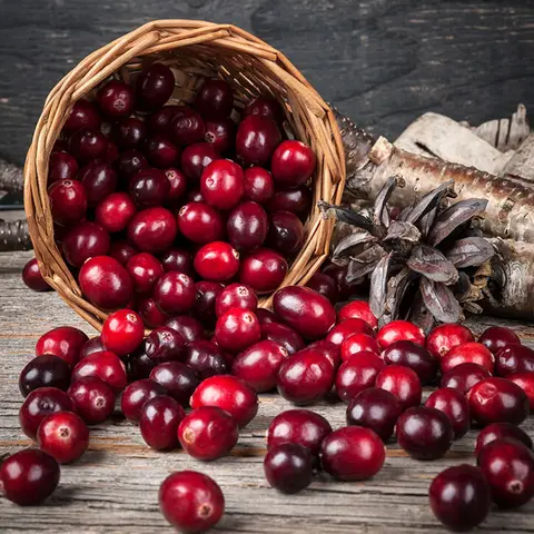 Cranberries in Korb