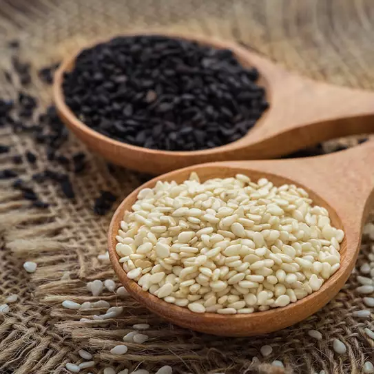 Sesam Magnesium