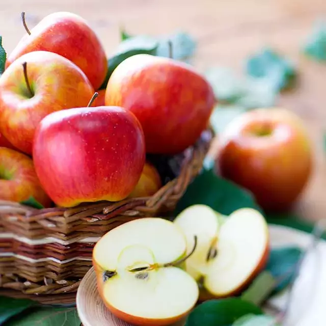 Putenrouladen mit Apfel-Lauch-Füllung