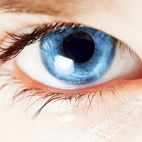 Auge Nahaufnahme