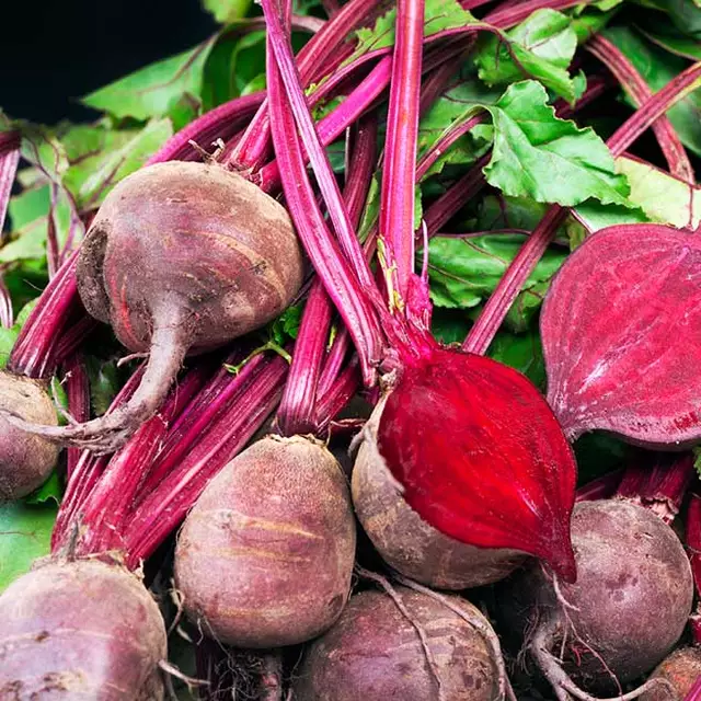 Gemüsespiess mit Rote Rüben-Kren-Sauce