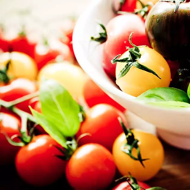Bandnudeln mit Käsesauce und Kräuter-Tomaten