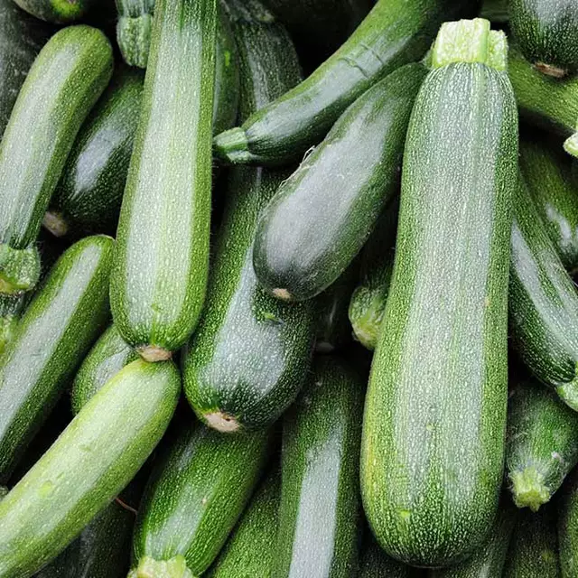 Gebackene Zucchini-Auberginen-Scheibchen
