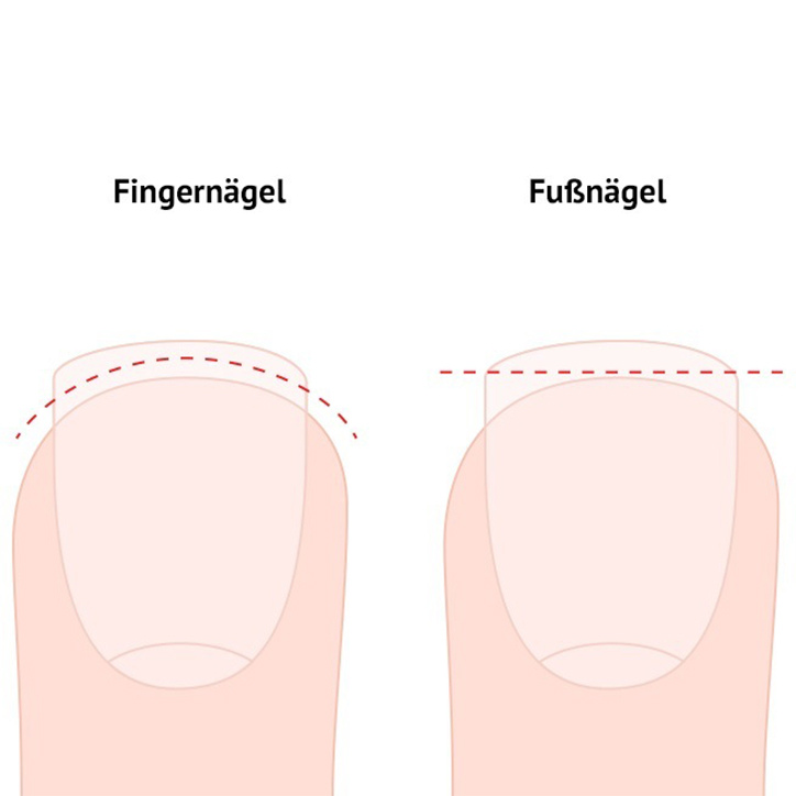 Fingernägel richtig schneiden