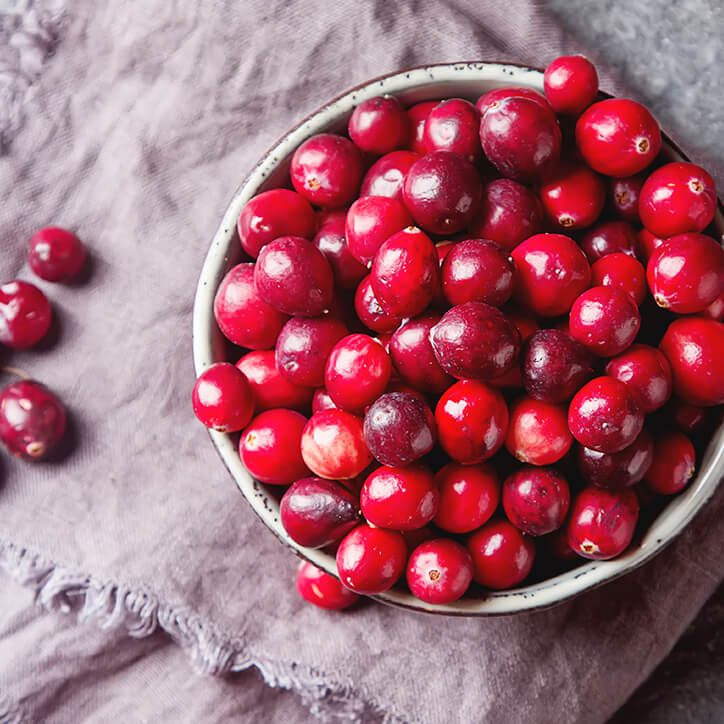 Frische Cranberrys